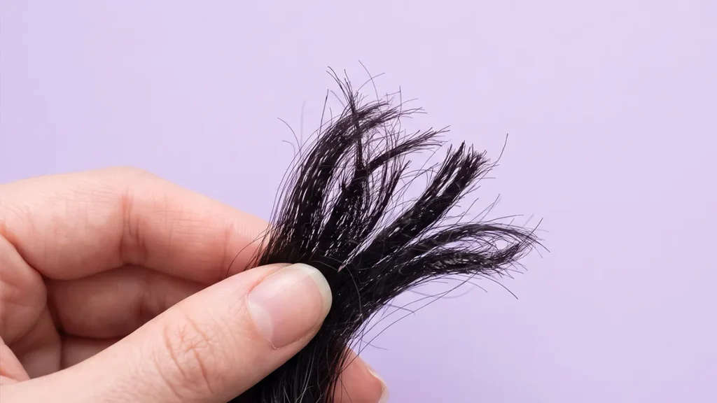 Ujung rambut bercabang atau split ends yang menjadi masalah rambut dan sering diabaikan